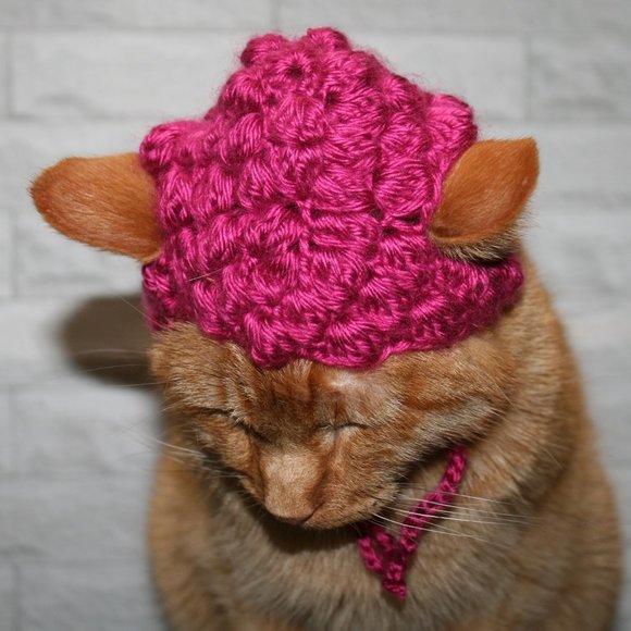 HAND CRAFTED Raspberry Beret Fruit Cat Hat Crochet Wig Costume Photo Prop - Picture 5 of 12